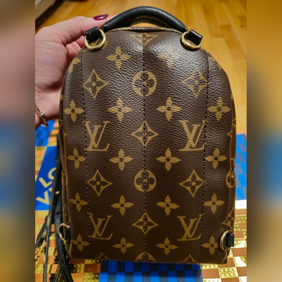 Louis Vuitton Palm Springs Mini - Picture 2 of 11